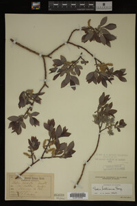 Image Associated With the Occurrence