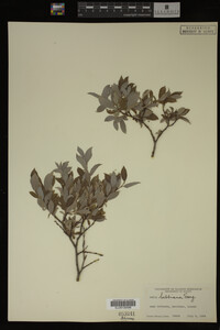 Image Associated With the Occurrence