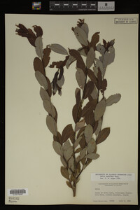 Image Associated With the Occurrence