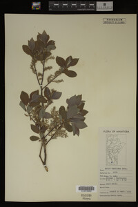 Image Associated With the Occurrence