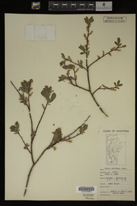 Image Associated With the Occurrence