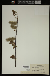 Image Associated With the Occurrence