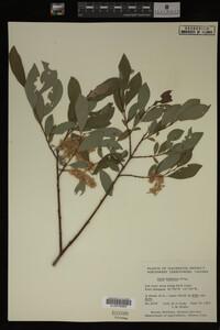 Image Associated With the Occurrence