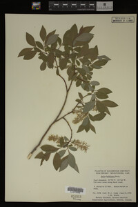 Image Associated With the Occurrence