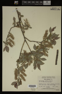 Image Associated With the Occurrence