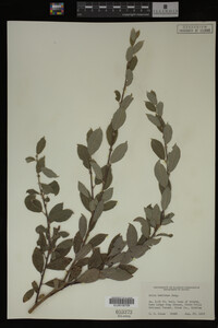 Image Associated With the Occurrence