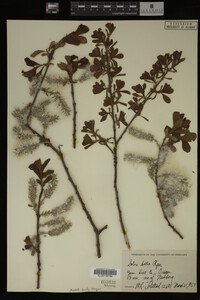 Image Associated With the Occurrence