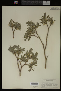 Image Associated With the Occurrence