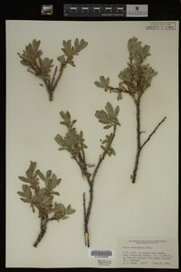 Image Associated With the Occurrence