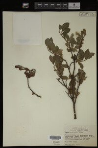 Image Associated With the Occurrence