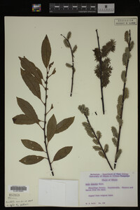 Image Associated With the Occurrence