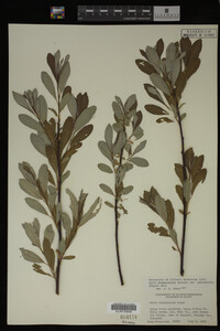 Image Associated With the Occurrence