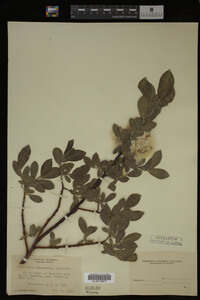 Image Associated With the Occurrence