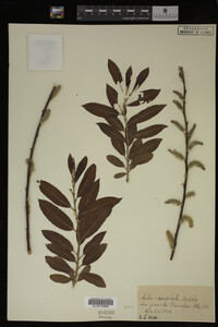Image Associated With the Occurrence