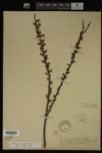 Image Associated With the Occurrence