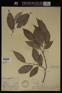 Image Associated With the Occurrence