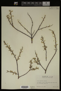 Image Associated With the Occurrence