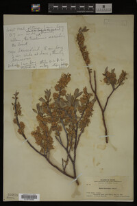 Image Associated With the Occurrence