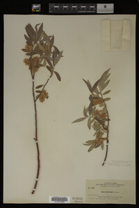 Image Associated With the Occurrence