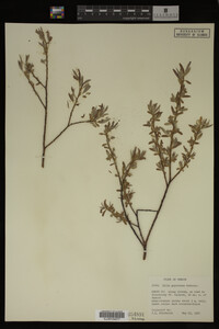 Image Associated With the Occurrence