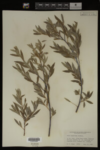 Image Associated With the Occurrence