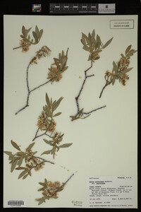 Image Associated With the Occurrence