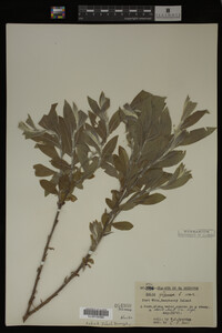 Image Associated With the Occurrence
