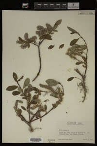 Image Associated With the Occurrence