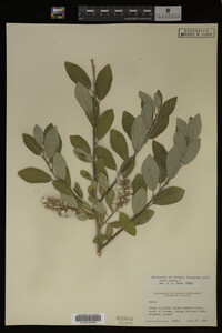 Image Associated With the Occurrence