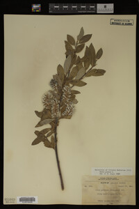 Image Associated With the Occurrence