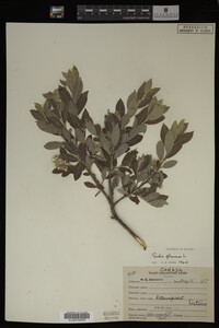 Image Associated With the Occurrence