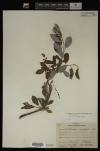 Image Associated With the Occurrence
