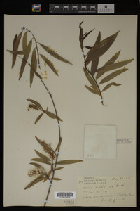 Image Associated With the Occurrence