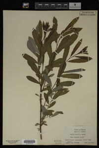 Image Associated With the Occurrence