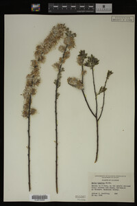 Image Associated With the Occurrence
