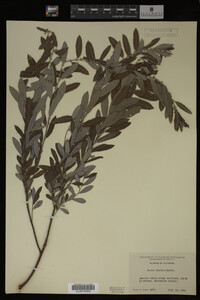 Image Associated With the Occurrence
