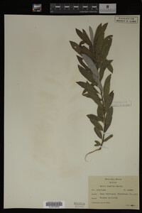 Image Associated With the Occurrence