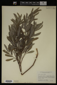 Image Associated With the Occurrence