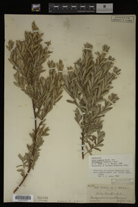 Image Associated With the Occurrence