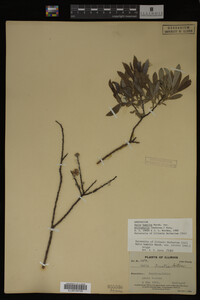 Image Associated With the Occurrence