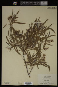 Image Associated With the Occurrence
