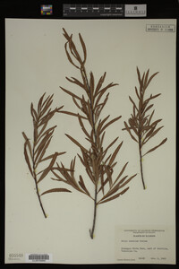 Image Associated With the Occurrence