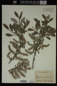 Image Associated With the Occurrence
