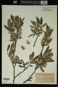 Image Associated With the Occurrence