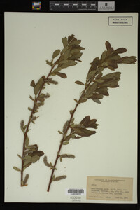 Image Associated With the Occurrence