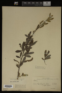 Image Associated With the Occurrence