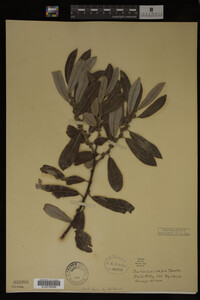 Image Associated With the Occurrence