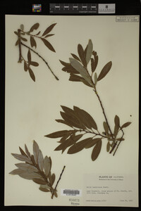 Image Associated With the Occurrence