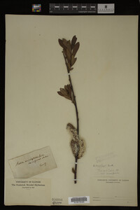 Image Associated With the Occurrence