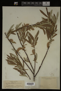 Image Associated With the Occurrence